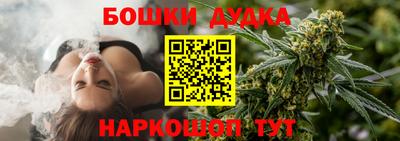 сатива Можга