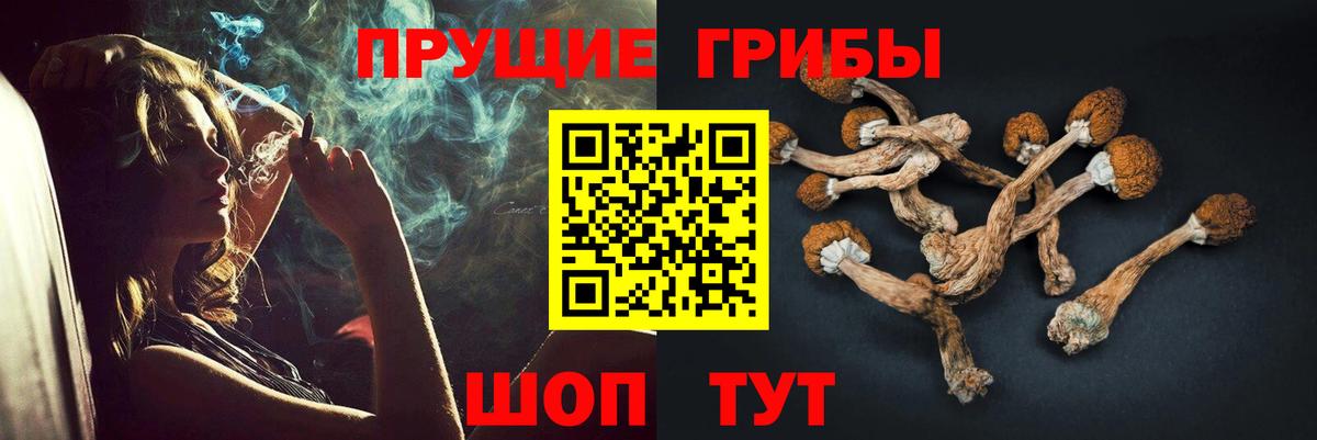 Псилоцибиновые грибы Magic Shrooms Королёв