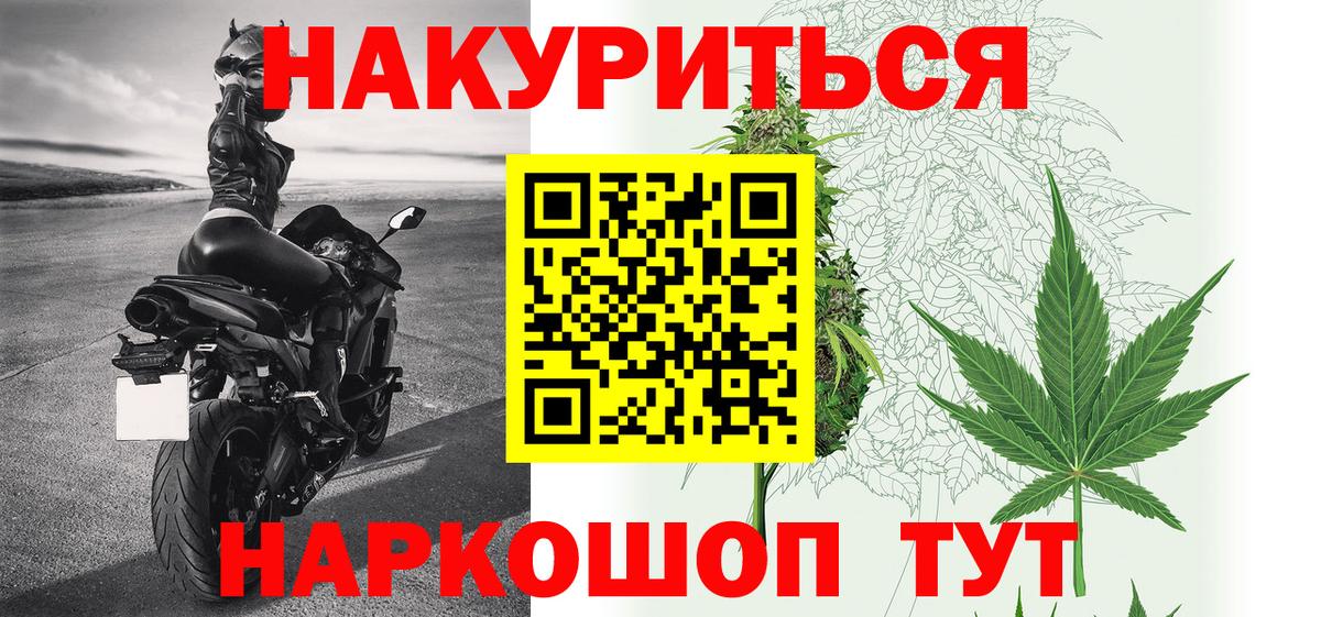 Шишки марихуана гибрид Королёв
